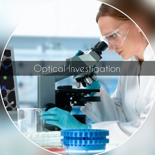 Labeda Optical Investigation