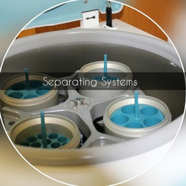 Labeda Separating Systems